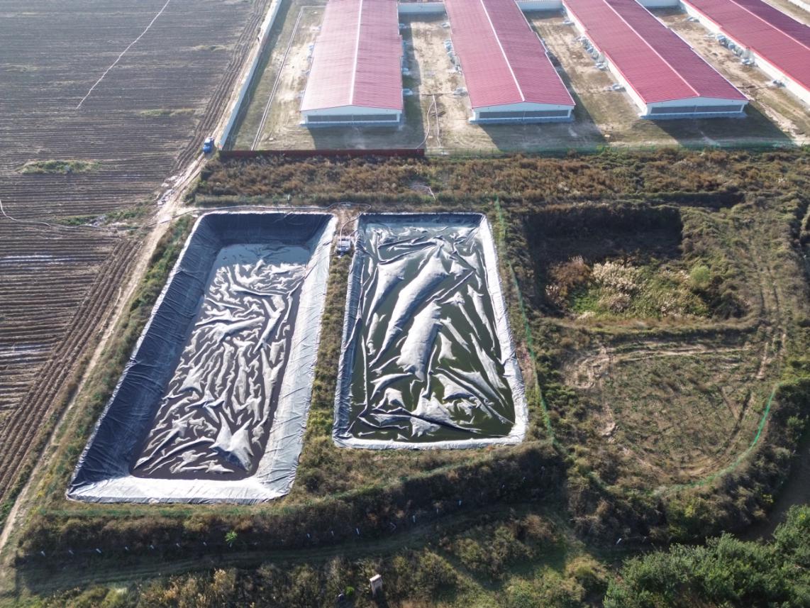 永寿“四轮驱动”治污见实效畜禽养殖迈向绿色循环之路(图3)