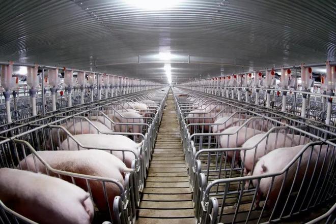 ag凯发经济学家王德培：中国老百姓是不容易的已进入急剧大洗牌阶段！(图9)