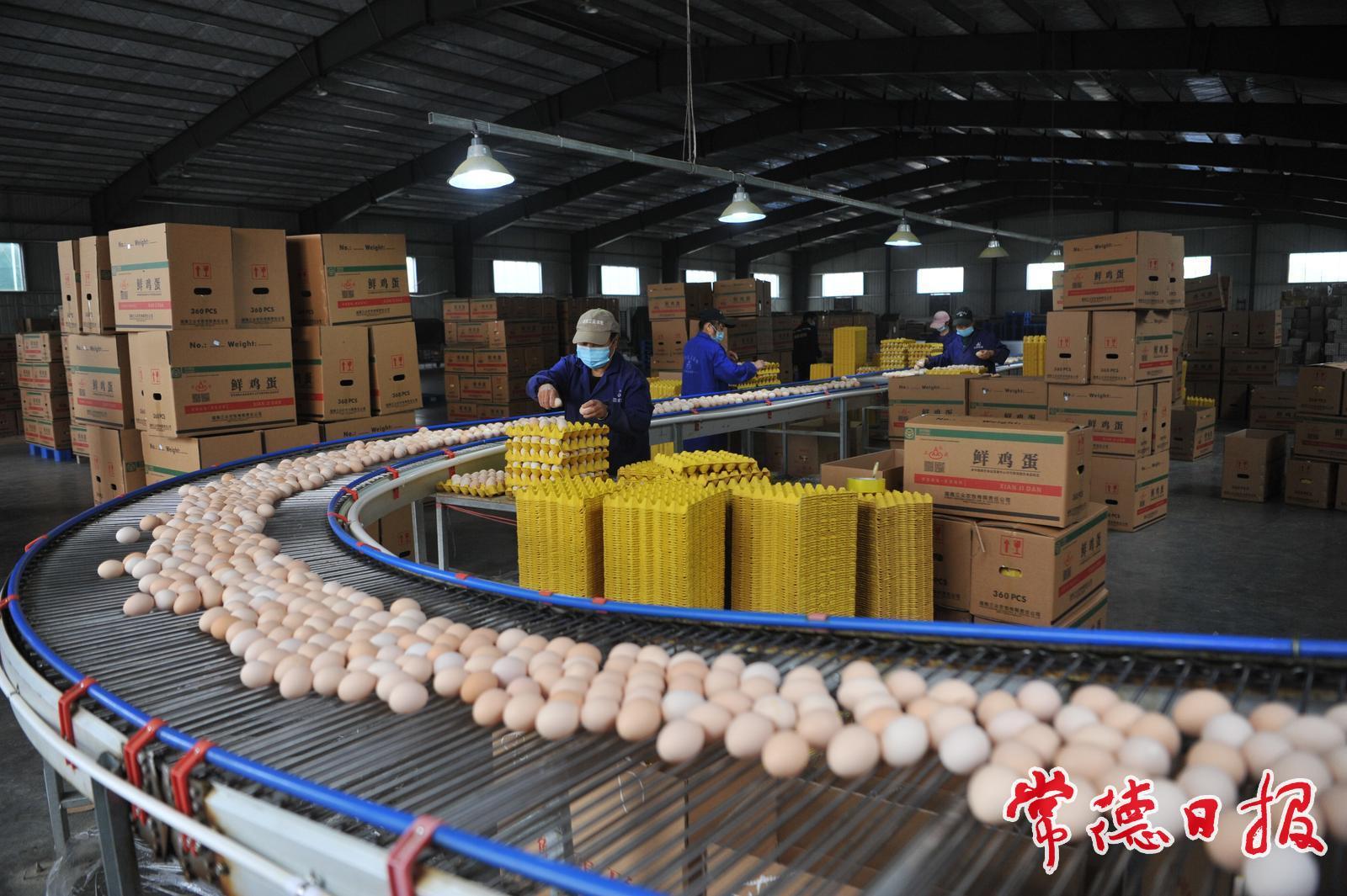 常德畜牧水产业绘就高质量发展新图景(图4)