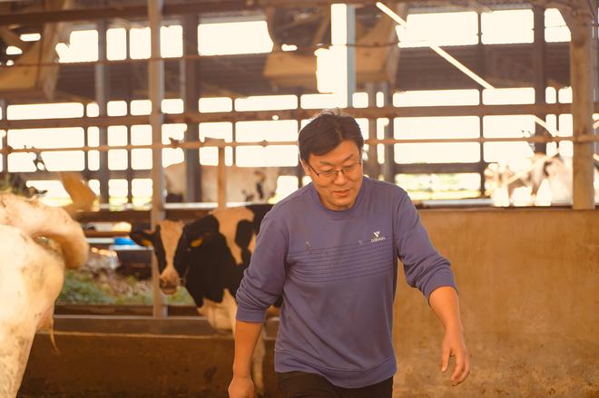 山海新闻·胡伟减抗提质增效绘就潍坊畜牧业绿色发展新画卷(图2)