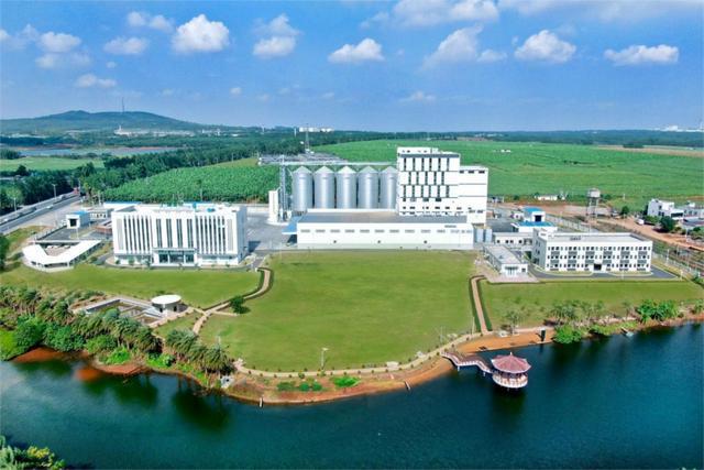 广东养猪国企：7家企业规划2025年生猪出栏近500万头供港生猪、华系种猪繁育……百花齐放【中牧特约·产区地图】(图2)