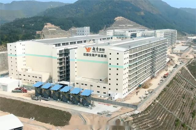 广东养猪国企：7家企业规划2025年生猪出栏近500万头供港生猪、华系种猪繁育……百花齐放【中牧特约·产区地图】(图3)