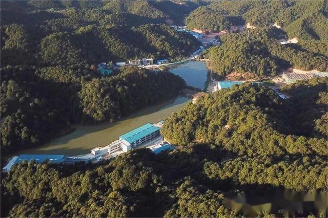 广东养猪国企：7家企业规划2025年生猪出栏近500万头供港生猪、华系种猪繁育……百花齐放【中牧特约·产区地图】(图8)