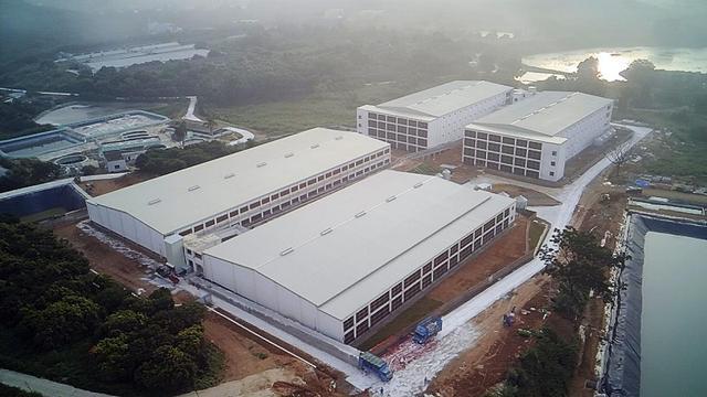 广东养猪国企：7家企业规划2025年生猪出栏近500万头供港生猪、华系种猪繁育……百花齐放【中牧特约·产区地图】(图5)