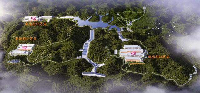 广东养猪国企：7家企业规划2025年生猪出栏近500万头供港生猪、华系种猪繁育……百花齐放【中牧特约·产区地图】(图7)