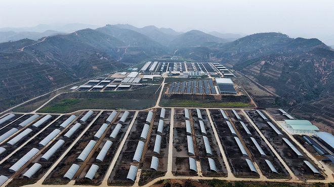 中国式现代化・榆林实践清涧：生态养殖惠“三农”