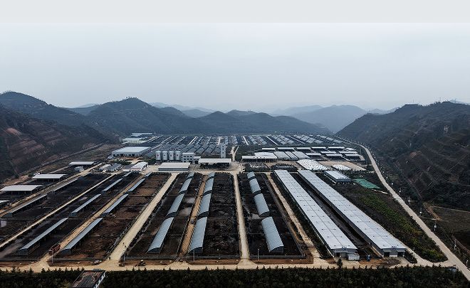 中国式现代化・榆林实践清涧：生态养殖惠“三农”(图2)