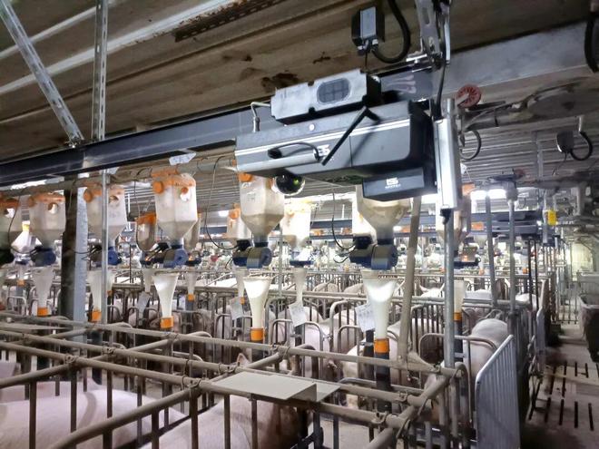 温氏股份上市十年：凯发国际实业为基资本为翼(图3)