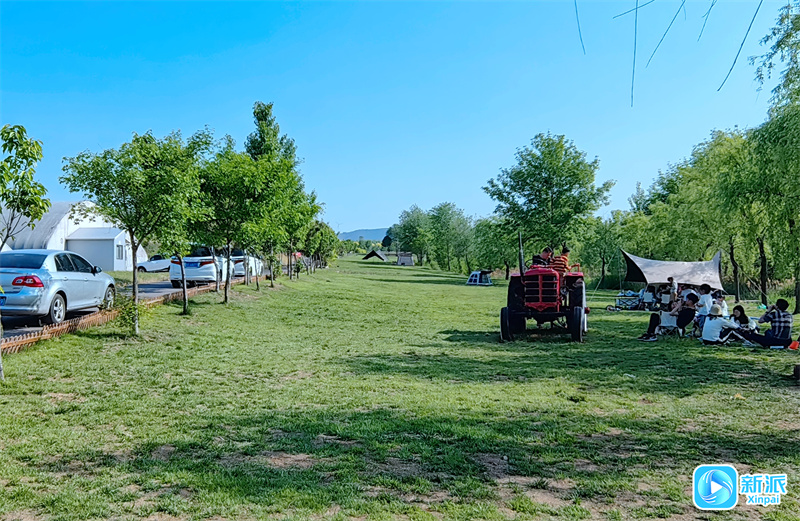 潍坊安丘市郚山镇合力牧场：畜牧产业引领生态循环发展“新标凯发旗舰厅杆”(图4)