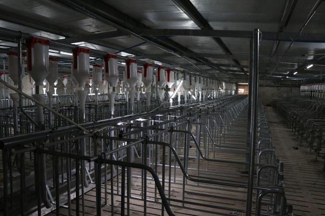 科技赋能政策护航！大竹生猪产业跑出振兴“加速度”凯发旗舰厅(图2)