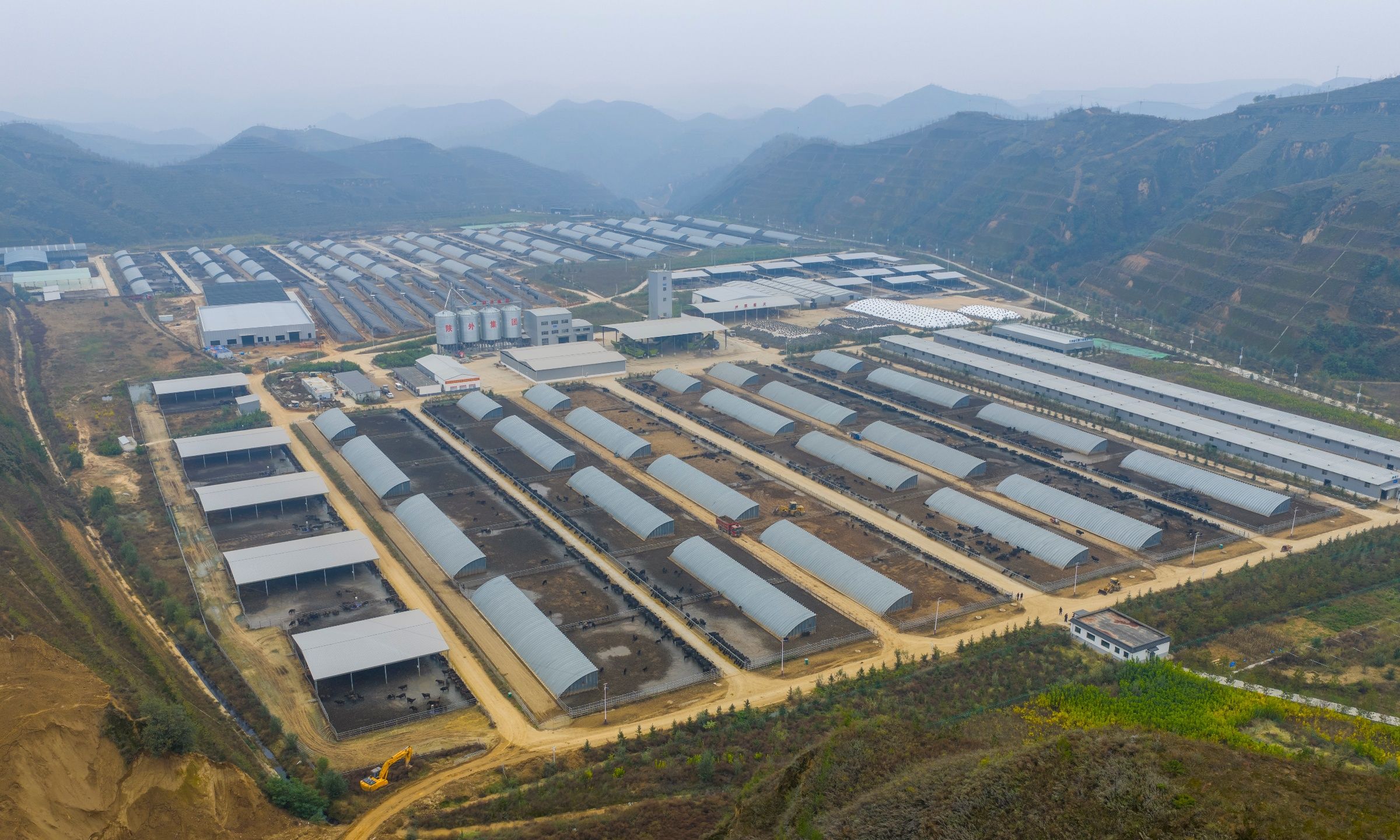 清涧县打造沿黄优质特色农产品输出地发展养殖业奏响致富曲