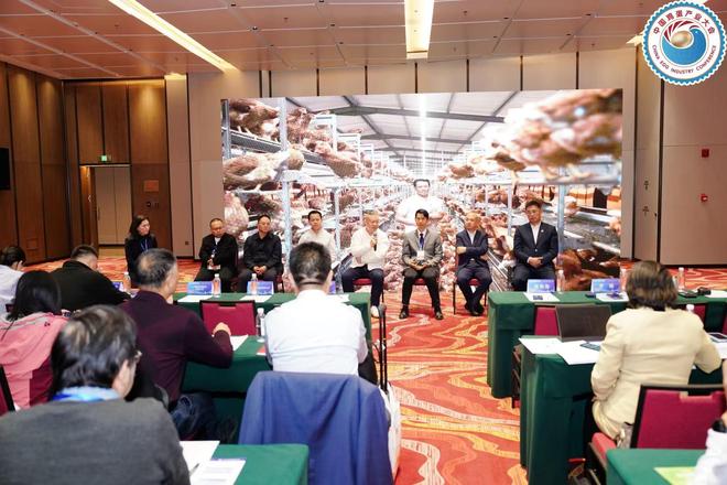 第七届中国鸡蛋产业大会：聚智赋能破凯发国际局共筑蛋链新生(图2)