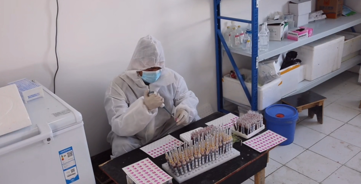 精河县多举措推动畜牧业高质量发展(图3)