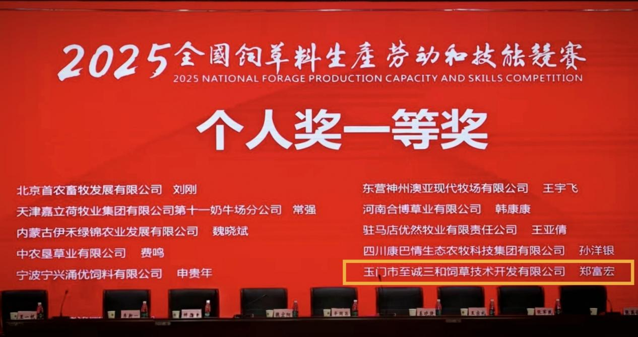 玉门至诚三和鏖战全国赛场勇夺金牌彰显匠心精神