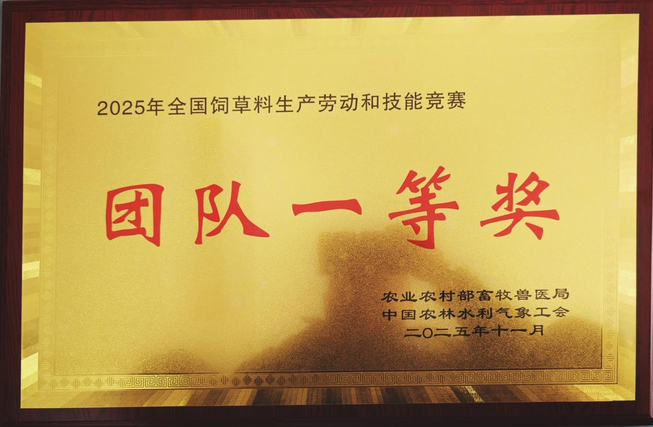 玉门至诚三和鏖战全国赛场勇夺金牌彰显匠心精神(图2)