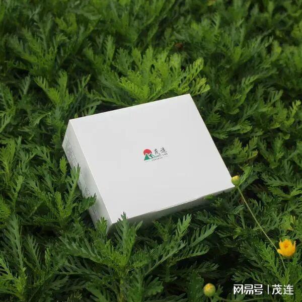 头雁领航AI赋能：李茂连在中国农大解锁农业新未来(图9)