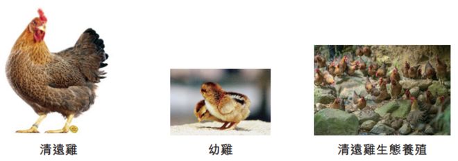 广东清远冲出一家IPO养猪和土鸡年入超47亿温氏前高管创办