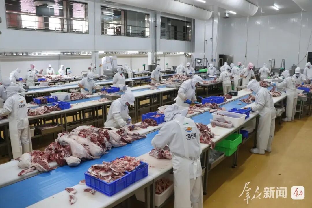 陕西榆阳区：全链升级激活畜牧动能(图2)