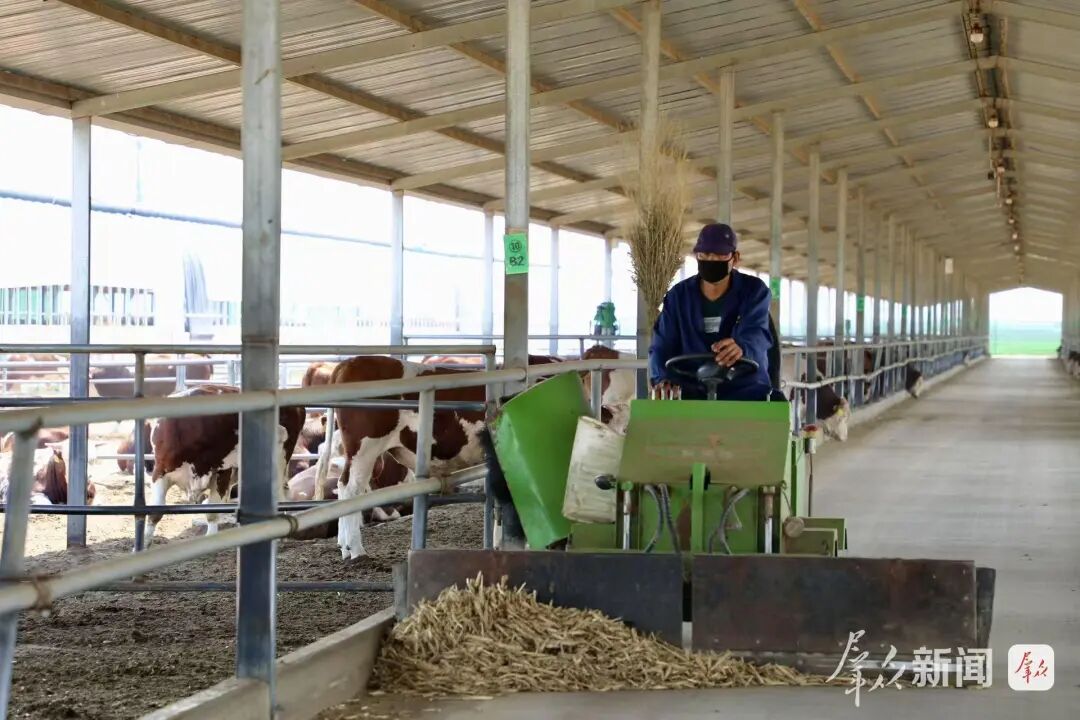 陕西榆阳区：全链升级激活畜牧动能(图3)