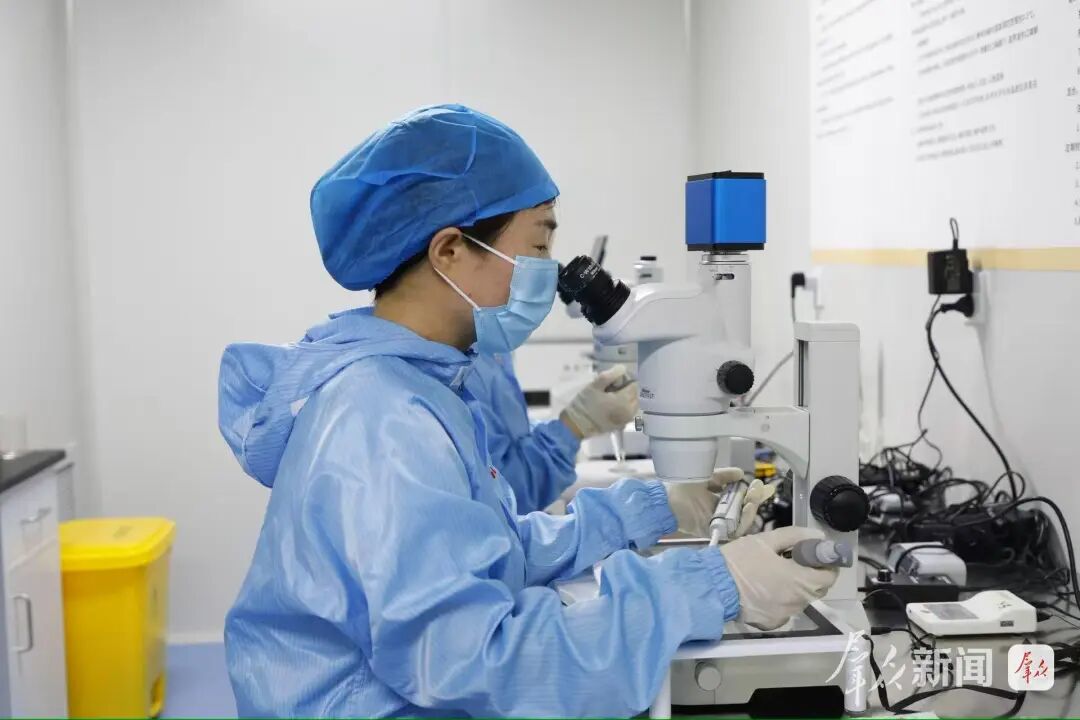 陕西榆阳区：全链升级激活畜牧动能(图4)