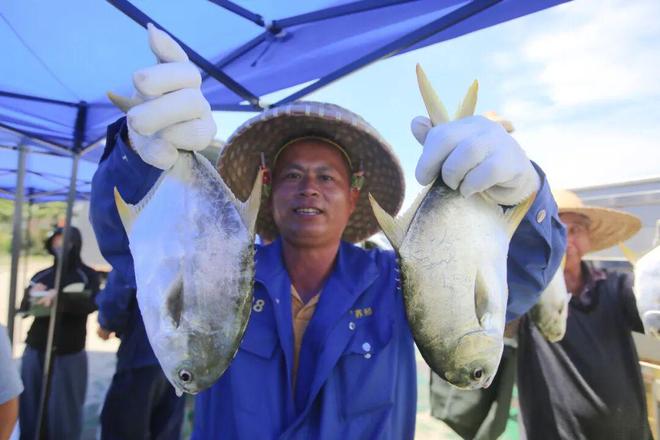 儋州前三季度第一产业增速全省第一！凯发旗舰厅