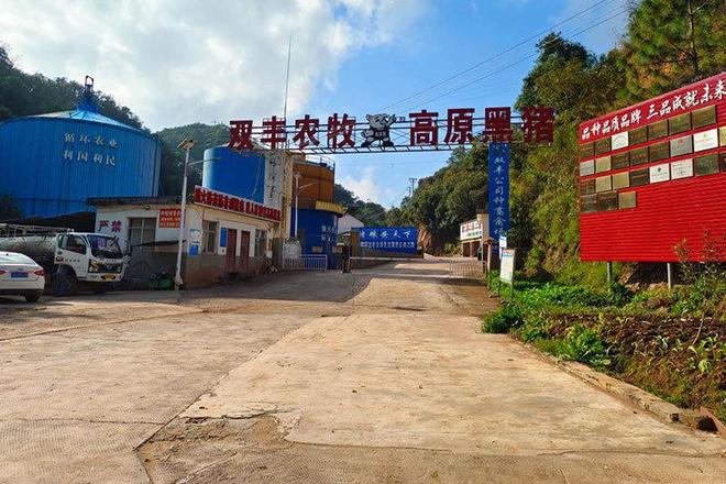 “凯发旗舰厅产改”锻造种业精兵奋力筑牢种业基石