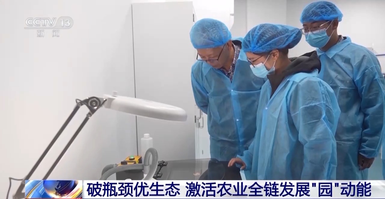 凯发旗舰厅丨我国现代农业产业园总产值超3万亿元(图3)