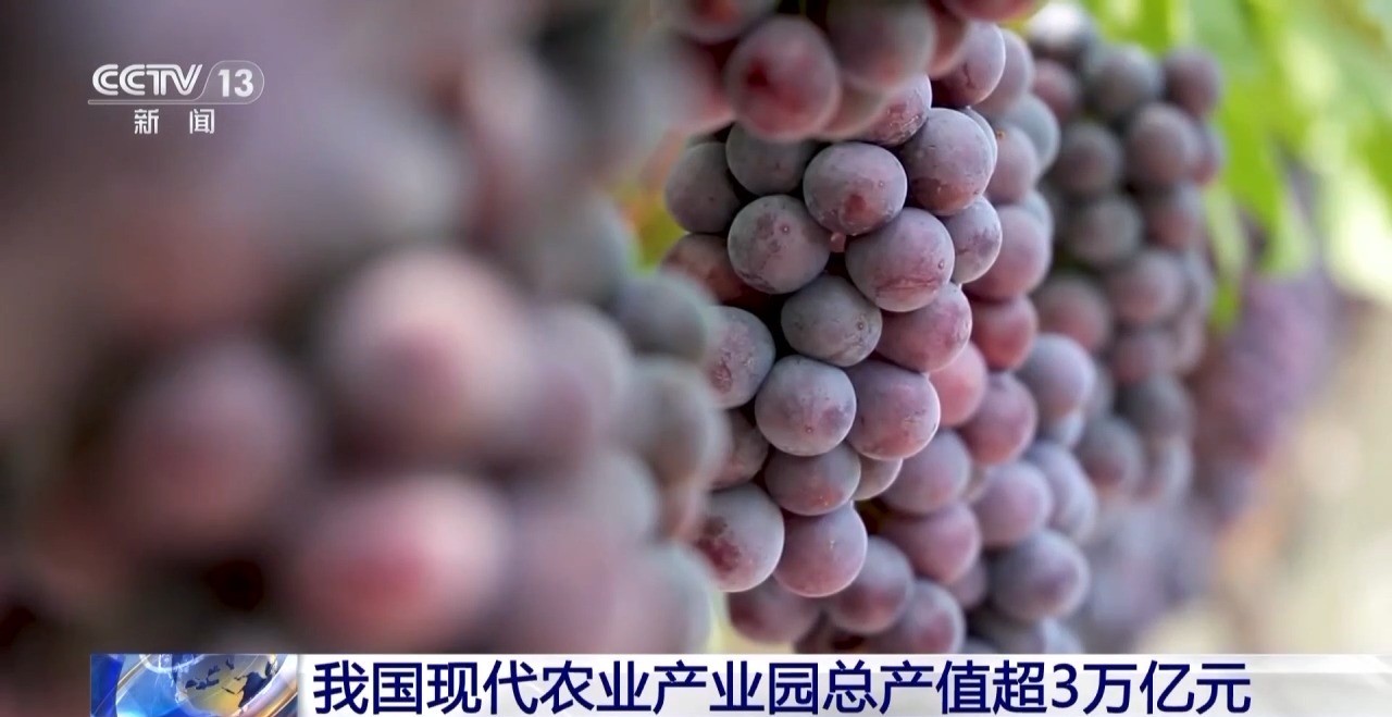 凯发旗舰厅丨我国现代农业产业园总产值超3万亿元