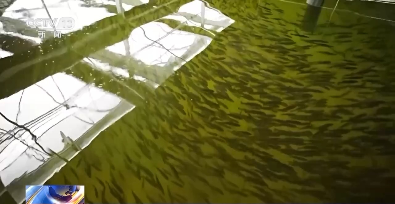 凯发旗舰厅丨我国现代农业产业园总产值超3万亿元(图6)