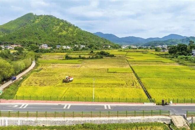 三年攻坚显成效骆湖蝶变谱新篇——东源县骆湖镇实施“百千万工程”三年纪实