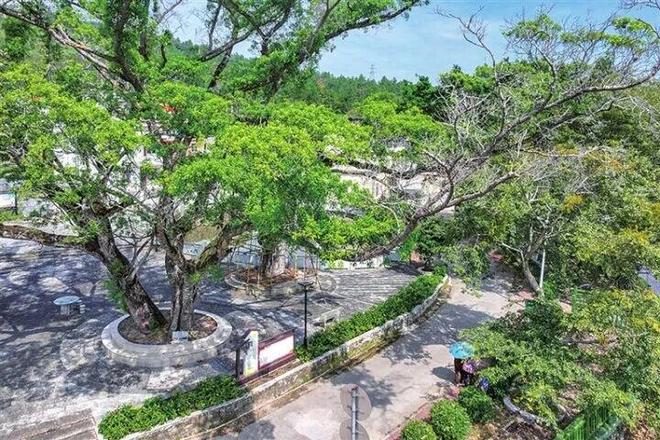 三年攻坚显成效骆湖蝶变谱新篇——东源县骆湖镇实施“百千万工程”三年纪实(图2)