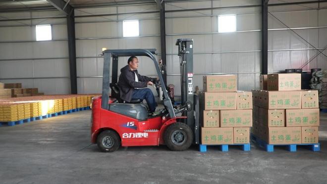 河南淮滨：智能养殖新“鸡”遇铺就乡村振兴“金色路”(图5)