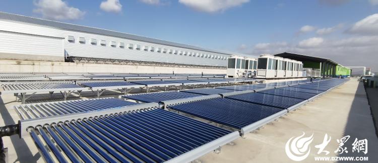 【烟台肉鸡四十载】智慧养鸡、生态农牧看鼎立！(图7)