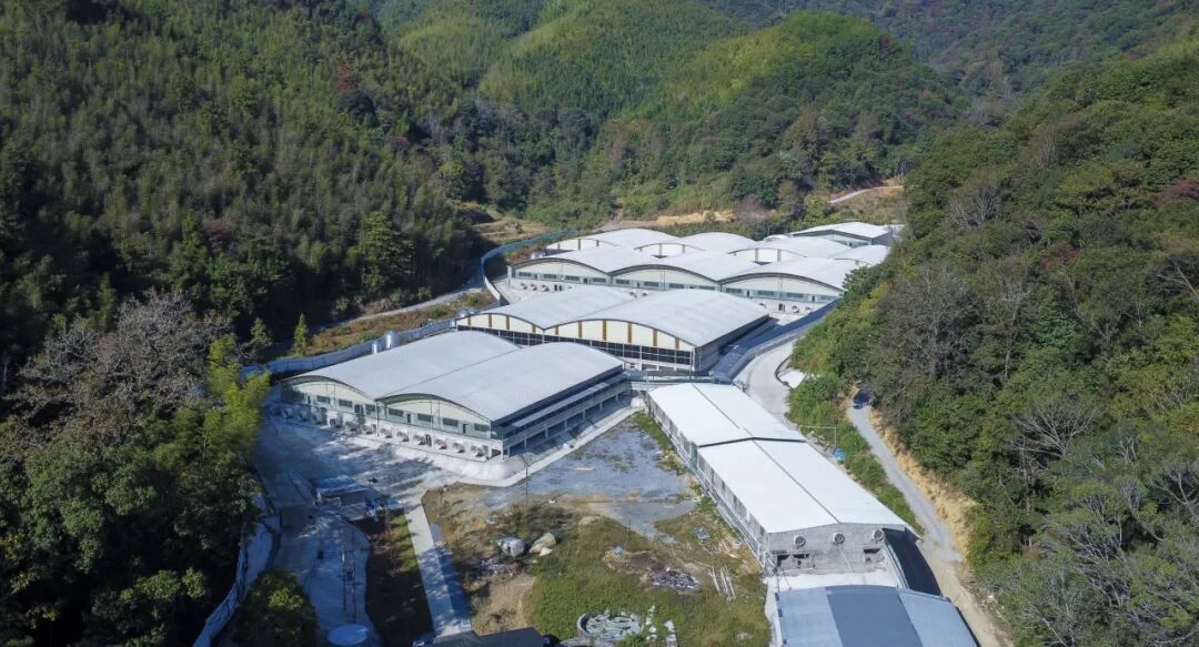 投资12亿！三明一标准化生猪养殖基地项目11月底投产