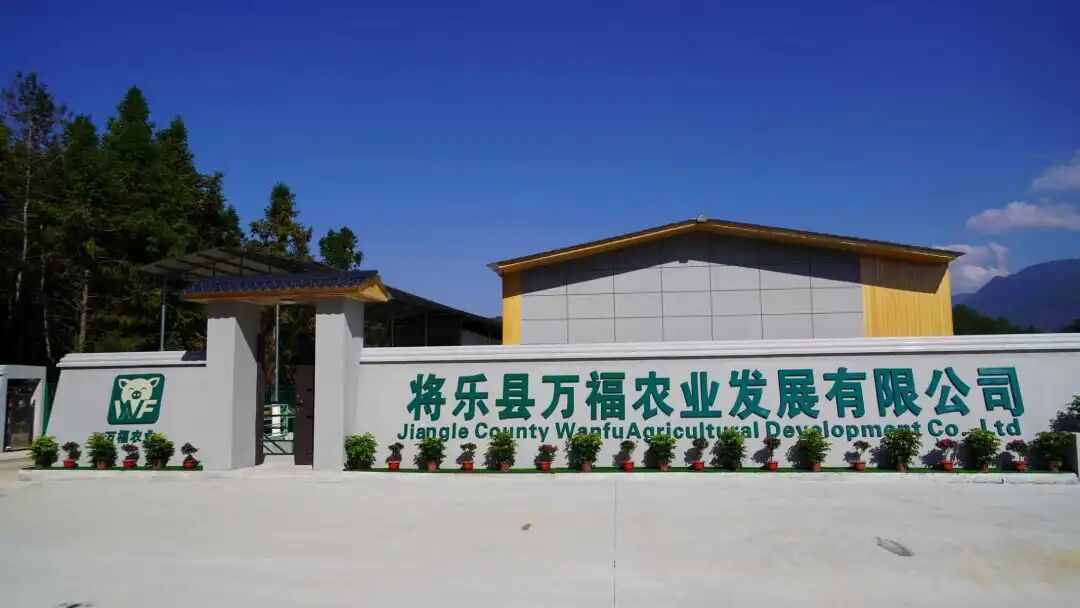 投资12亿！三明一标准化生猪养殖基地项目11月底投产(图2)