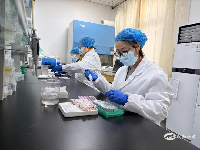 凯发国际【乡村振兴新图景】民勤县2025年畜间布病免疫转阳率检测采血工作有序推进(图2)