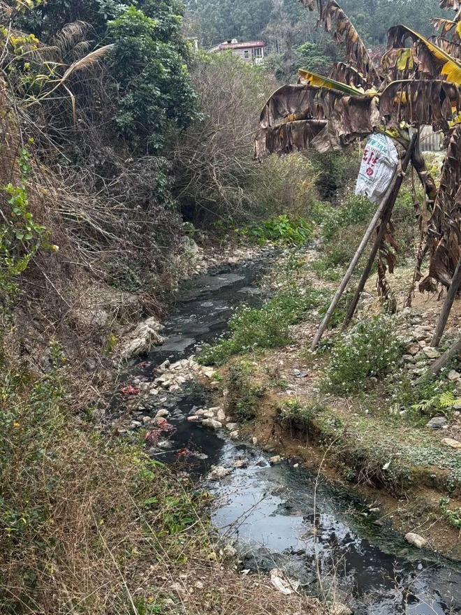 警惕！投诉率高达60%！畜牧业臭气成“第二大投诉源”！最高罚50万…艾美科健特约·周一见(图4)