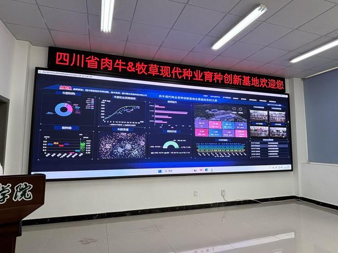 四川省肉牛牧草现代种业育种创新基地从实验室到牧场的育种突破(图3)