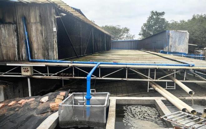 人民直击｜达标却扰民的臭气要不要驱除？(图2)