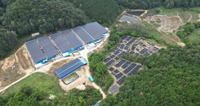 人民直击｜达标却扰民的臭气要不要驱除？(图3)