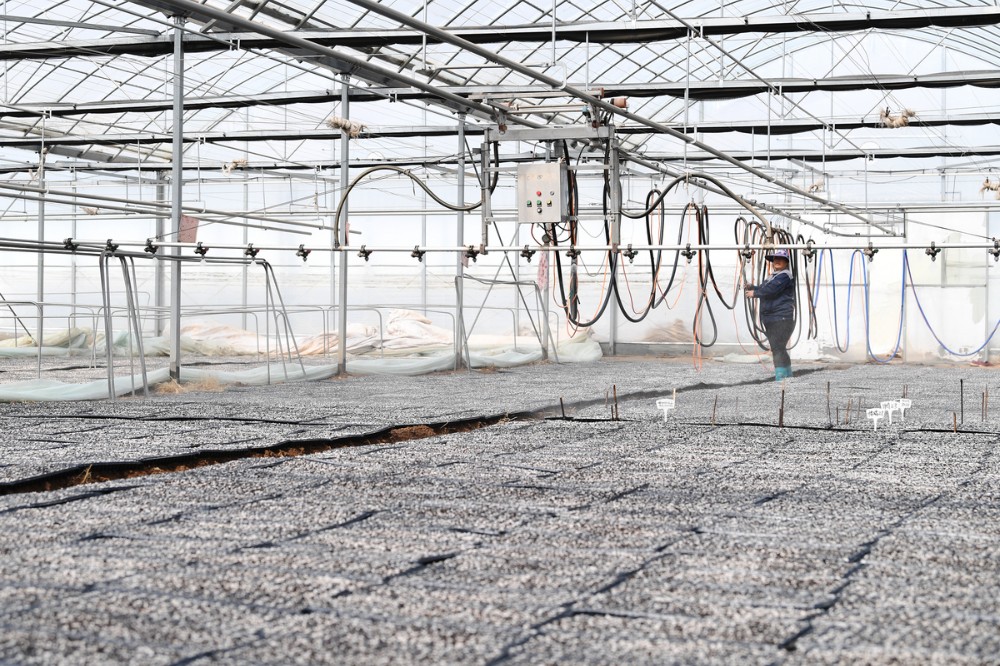 云端“智”控田间“慧”收——张家口智慧农业为乡村振兴赋能增效(图2)