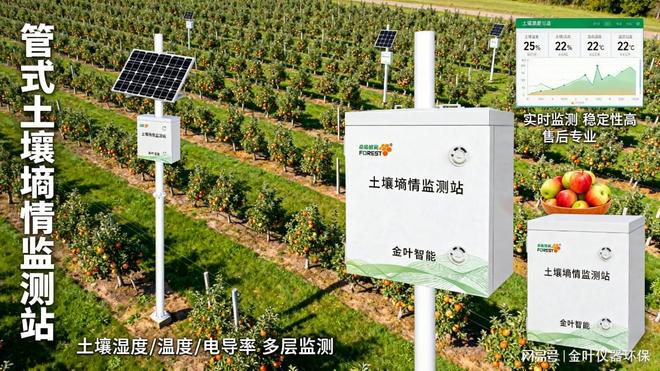 2025年土壤墒情实时监测设备：金叶智能协助赵场长优化灌溉计划(图2)
