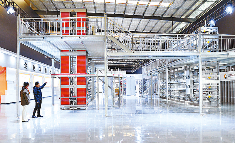 西平凯发旗舰厅县加快推动畜牧装备制造产业转型升级