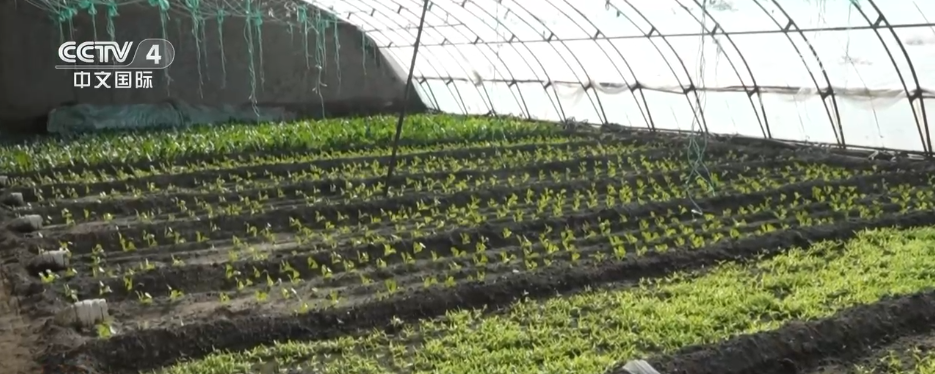 冷空气持续影响北方多地多部门“攥指成拳”保生产保畅通(图4)