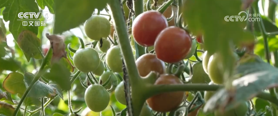 冷空气持续影响北方多地多部门“攥指成拳”保生产保畅通(图5)