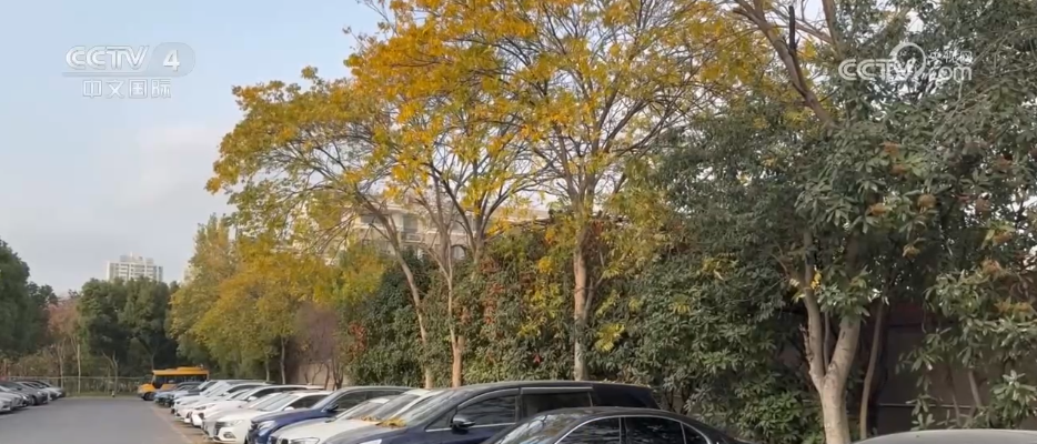 冷空气持续影响北方多地多部门“攥指成拳”保生产保畅通(图8)