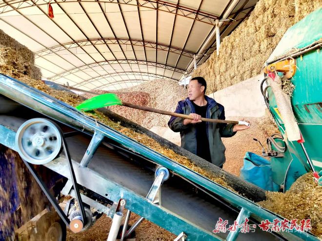 凯发旗舰厅凉州畜牧天下饶！凉州畜牧甲天下！武威人振兴“牛”产业过上了“牛”日子！