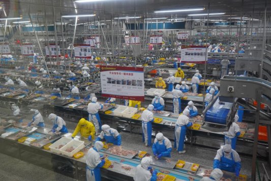 “标准”之路如何影响世界餐桌(图2)