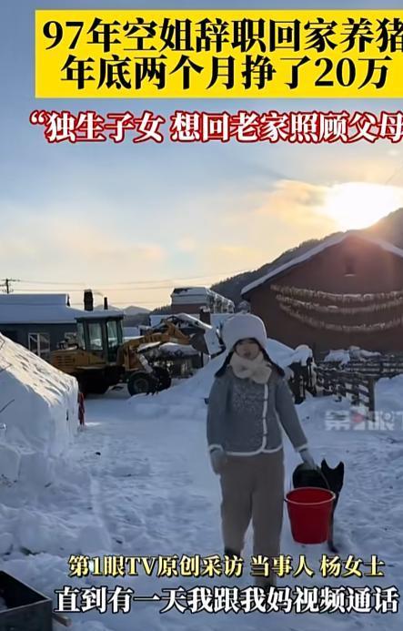 两年前95后上海空姐辞职养猪父亲气到断绝关系如今怎样了？(图16)