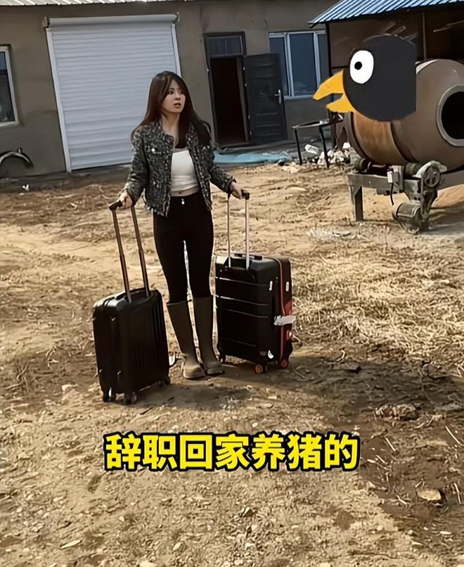 两年前95后上海空姐辞职养猪父亲气到断绝关系如今怎样了？(图12)